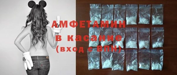 гидра Дегтярск