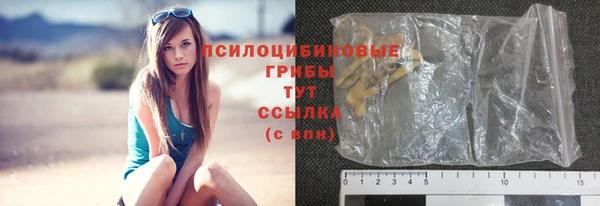 ПСИЛОЦИБИНОВЫЕ ГРИБЫ Алексеевка