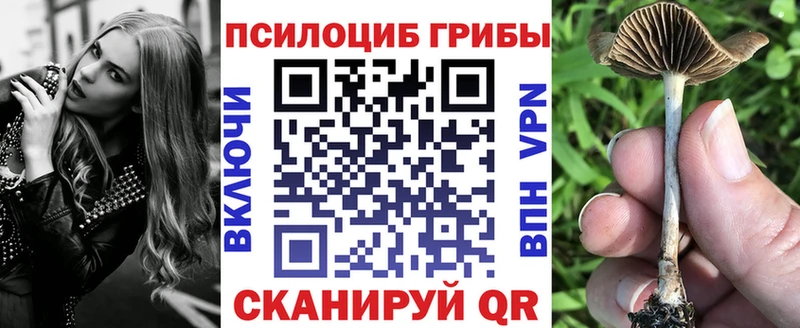 мега вход  Чебаркуль  Псилоцибиновые грибы мицелий 